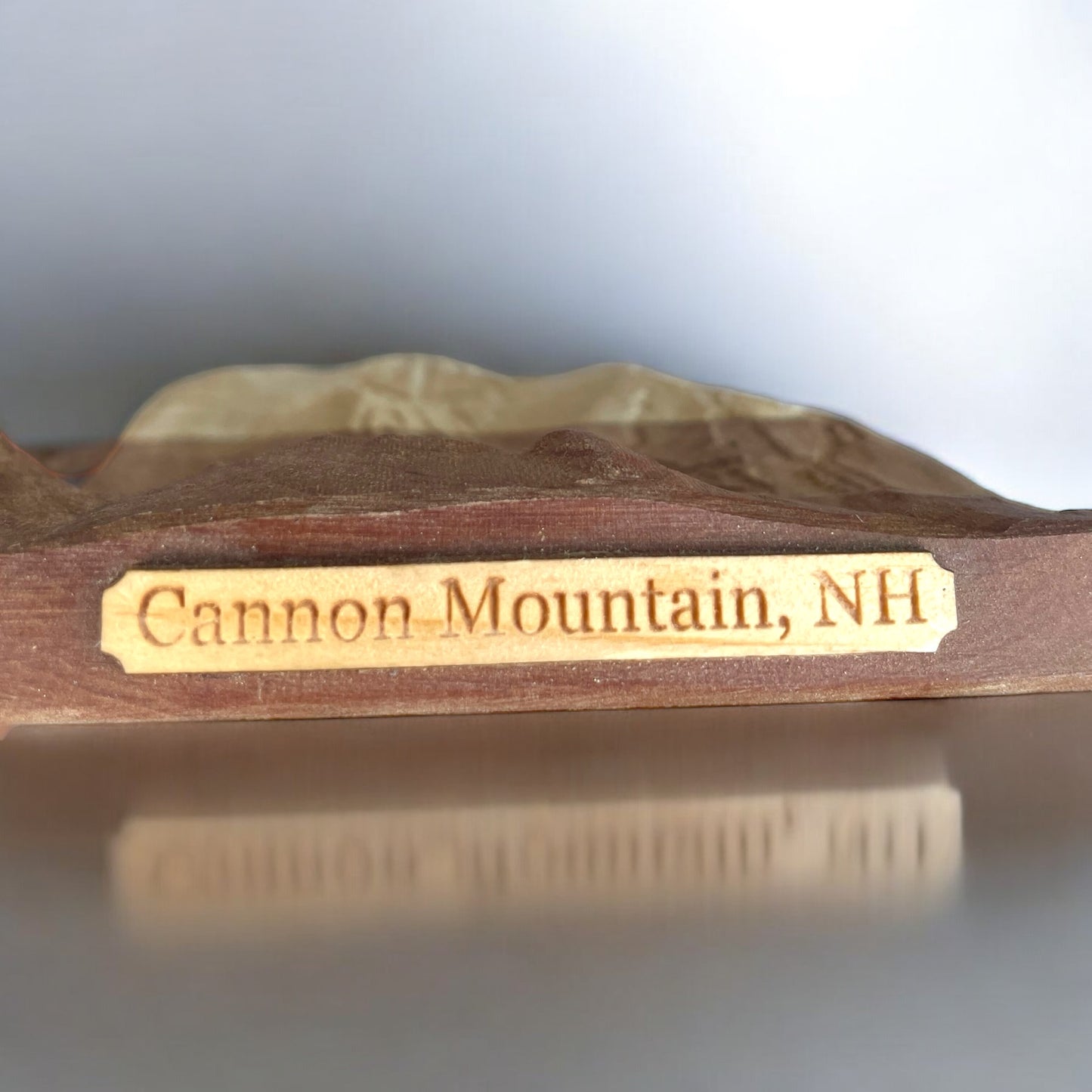 Cannon Mountain 3D Relief Ski Trail Map | Map Gift for Skier