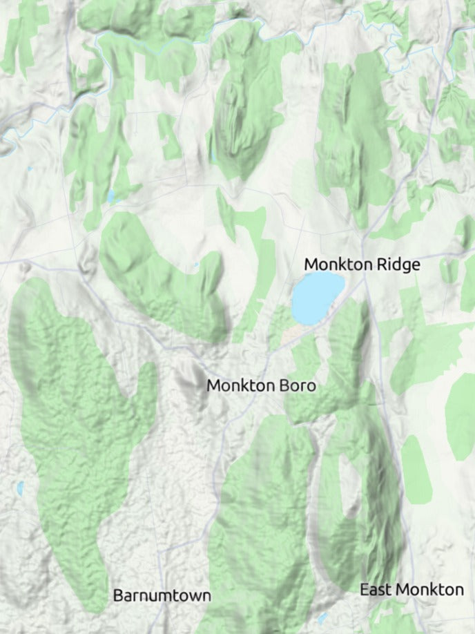 Custom 3d wooden map of Addison County,Vermont,United States