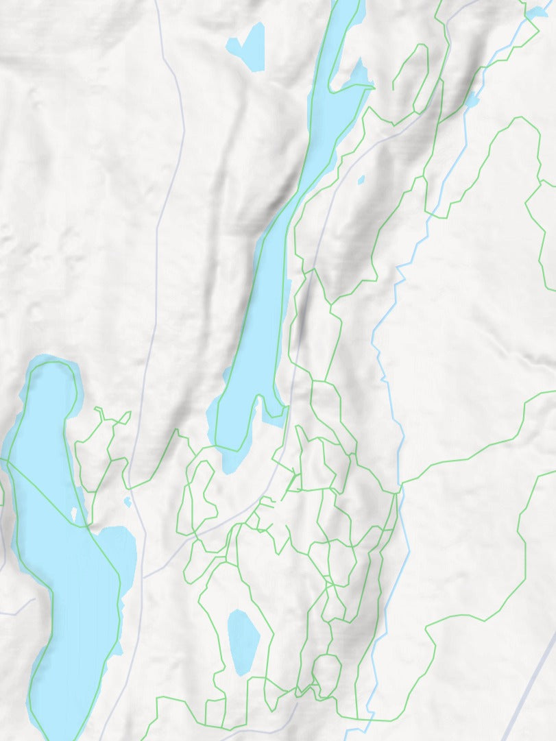 Custom 3d wooden map of Orleans County,Vermont,United States