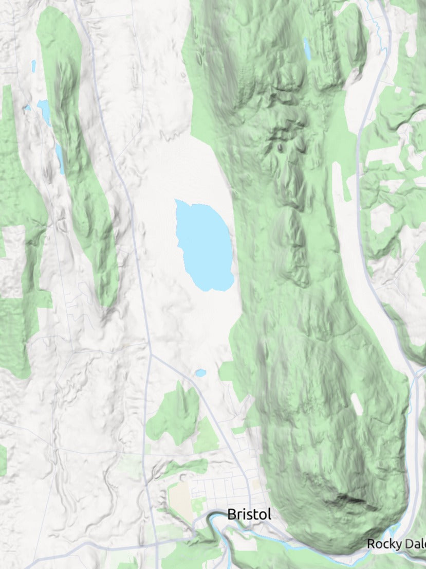 Custom 3d wooden map of Addison County,Vermont,United States