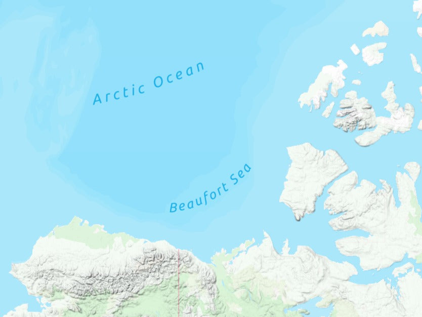 Custom 3d wooden map of