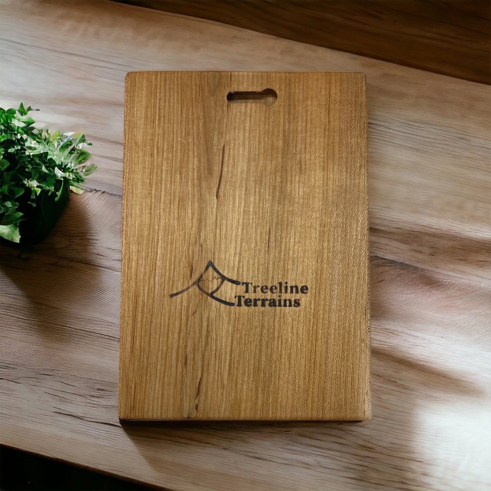 backside of a Wooden map with 'Treeline Terrains' logo on a wooden surface