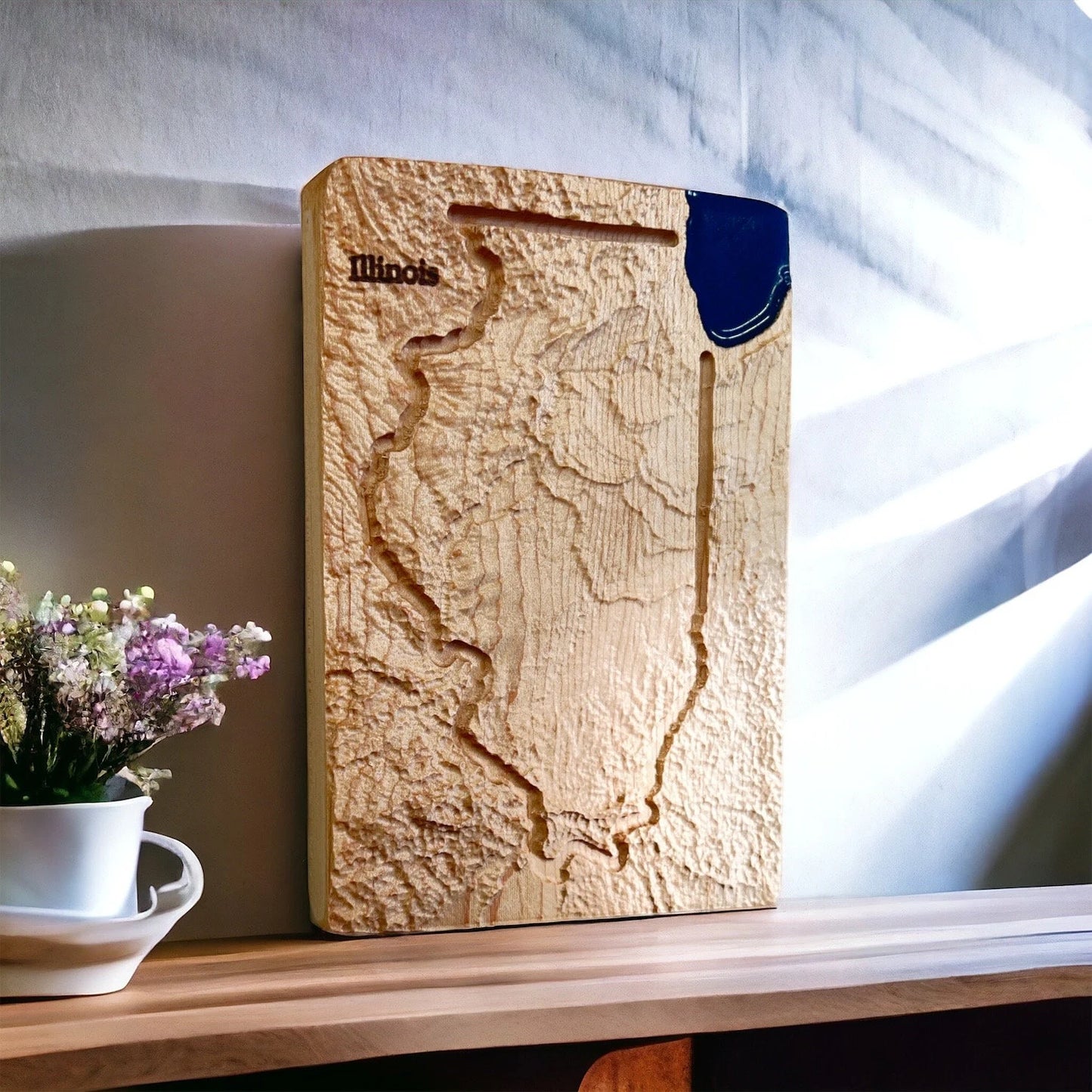 Illinois Topographic Map | Treeline Terrains | 3D Relief State Map | Illinois State Map | Illinois Map Gift | 3D Illinois Map | IL Map Gift