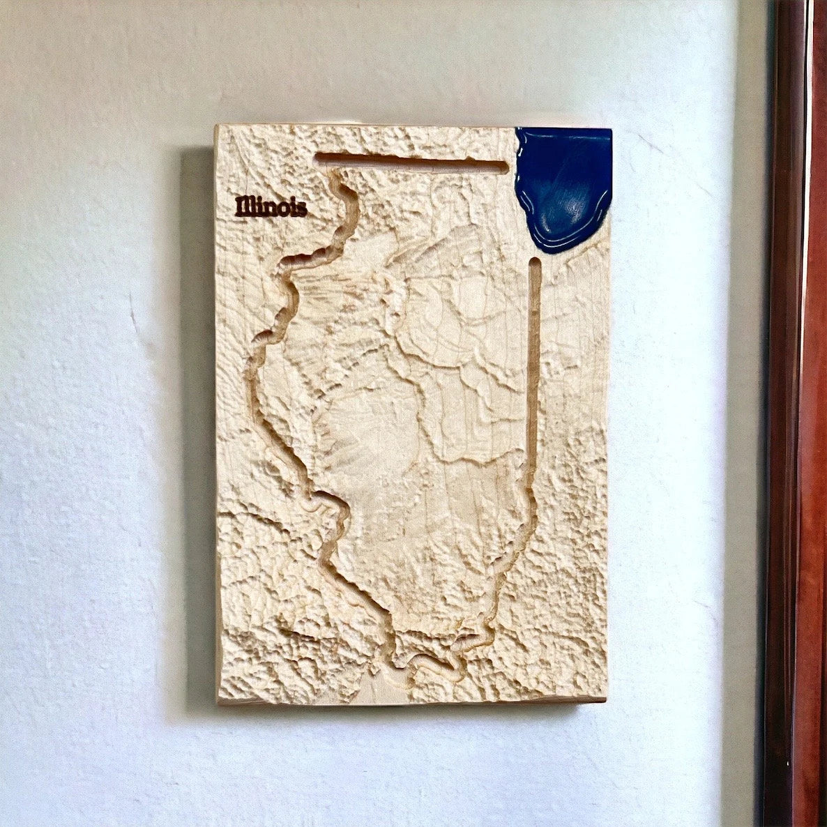 Illinois Topographic Map | Treeline Terrains | 3D Relief State Map | Illinois State Map | Illinois Map Gift | 3D Illinois Map | IL Map Gift