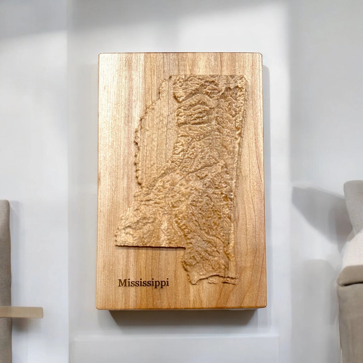 Mississippi Topographic 3D Relief State Map | Mississippi Map Gift