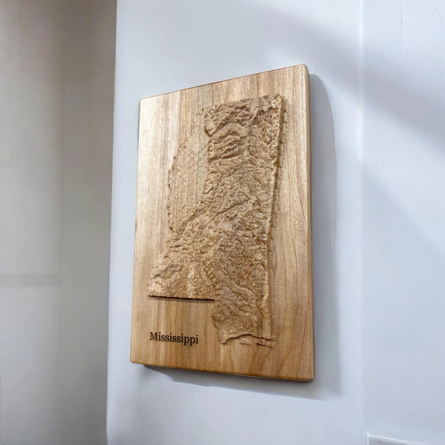 Mississippi Topographic 3D Relief State Map | Mississippi Map Gift
