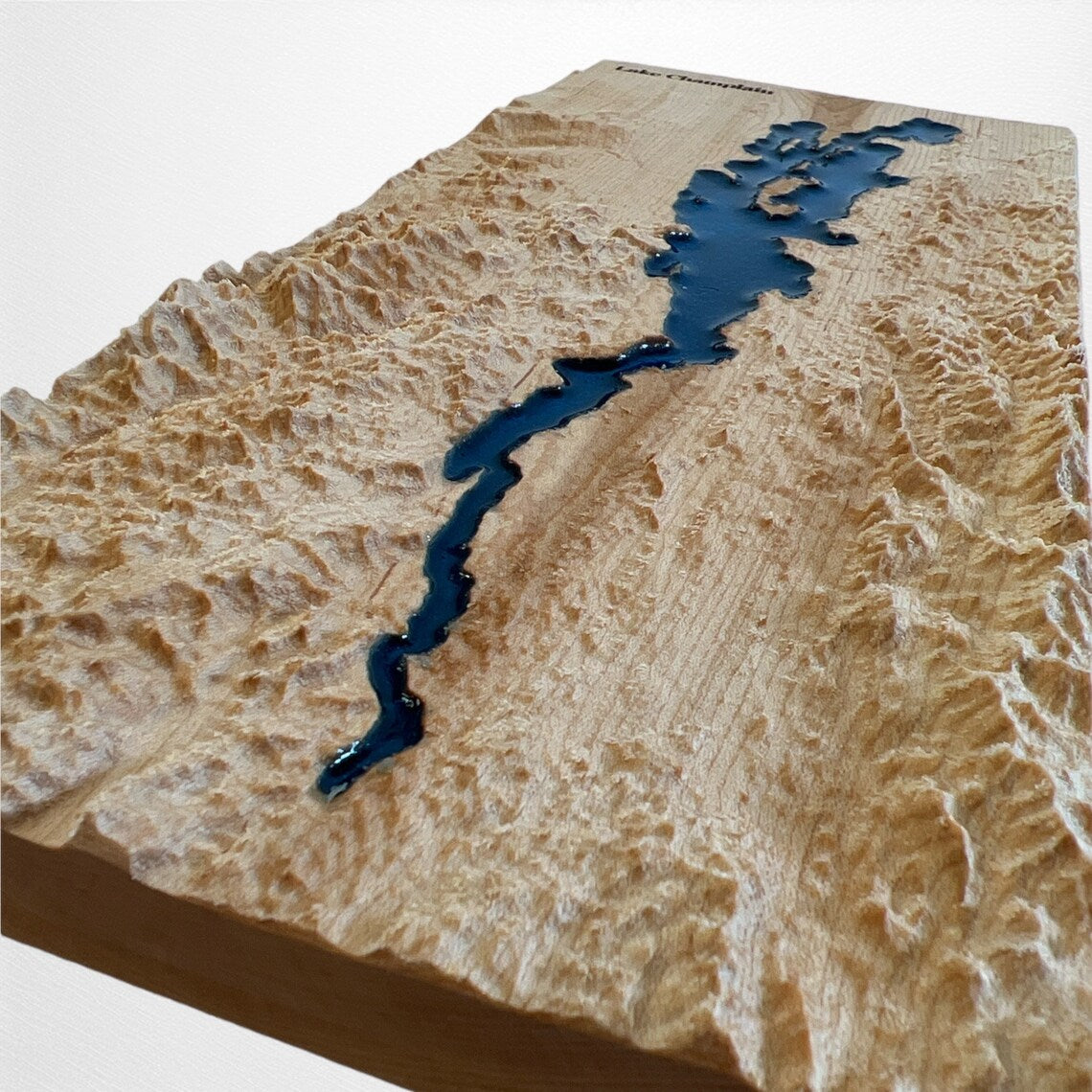 Topographic model of lake champlain with a water feature on a white background