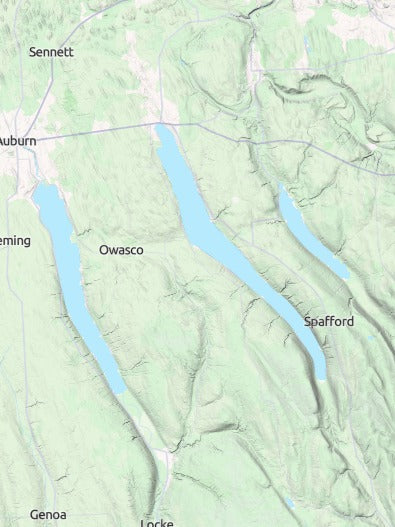 Custom 3d wooden map of Cayuga County,New York,United States
