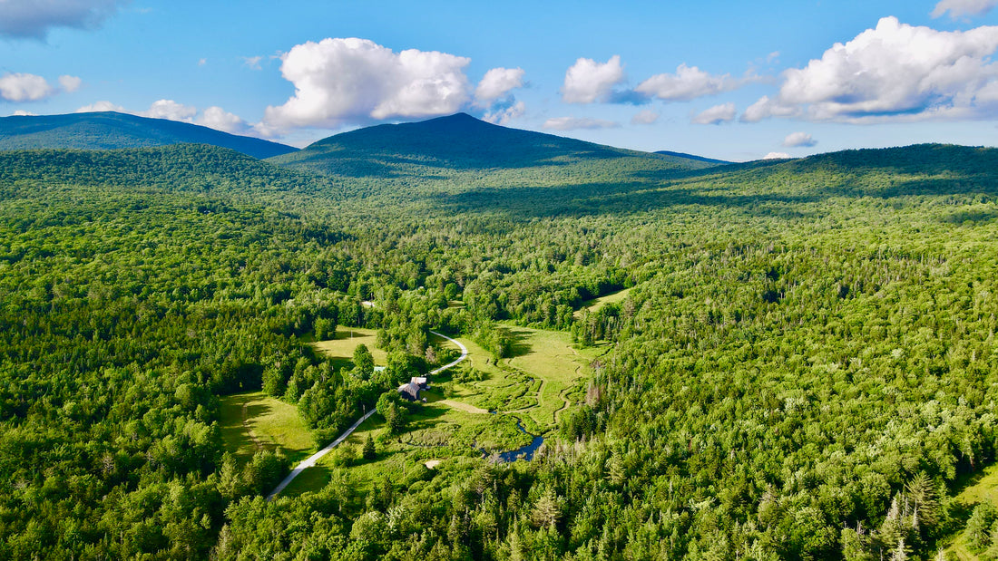 Inspiring Thoughtful Land Stewardship | Jockey Hill Farm, VT