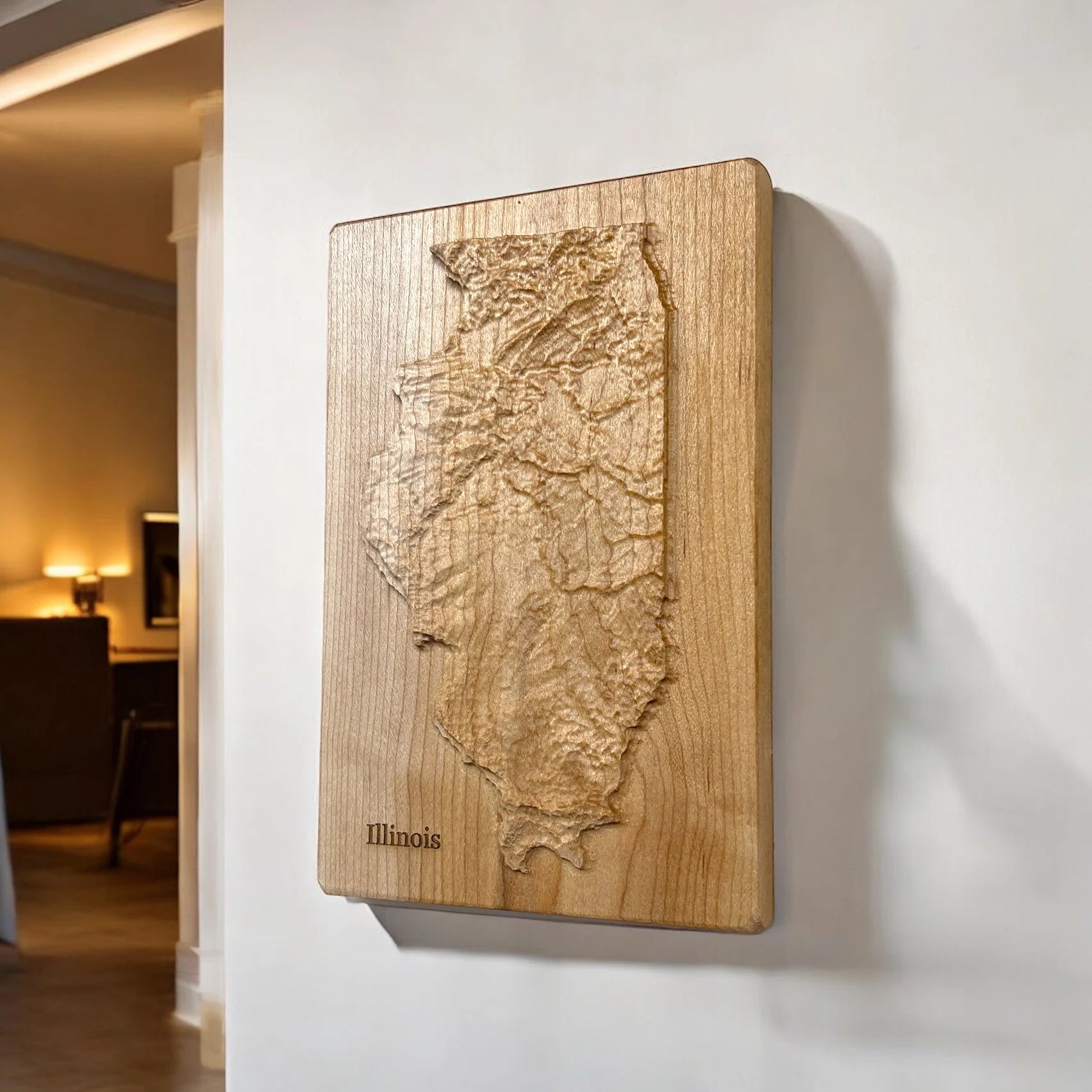 Wooden relief map of Illinois on a wall