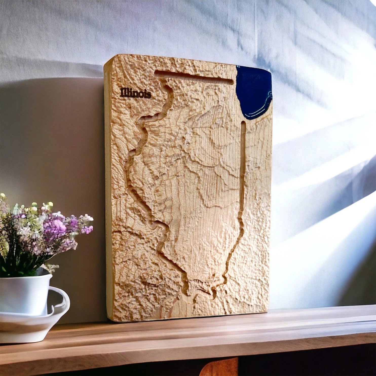 Wooden topographic map of Illinois state on a shelf with a plant in a cup in the background