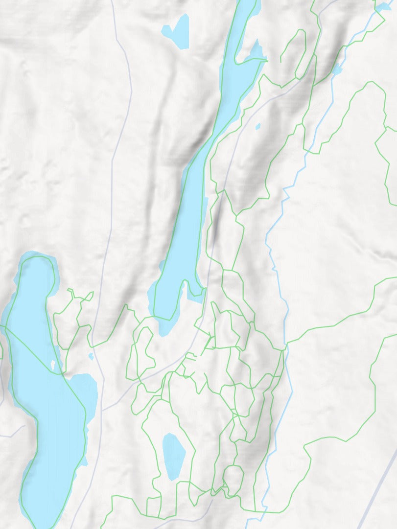Custom 3d wooden map of Orleans County,Vermont,United States