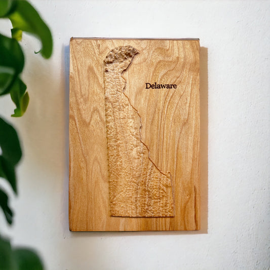 Delaware Map | Wood Carved Relief Map | 3D Topographic Wooden Map | Unique Wedding Anniversary Birthday Housewarming | Delaware Gift