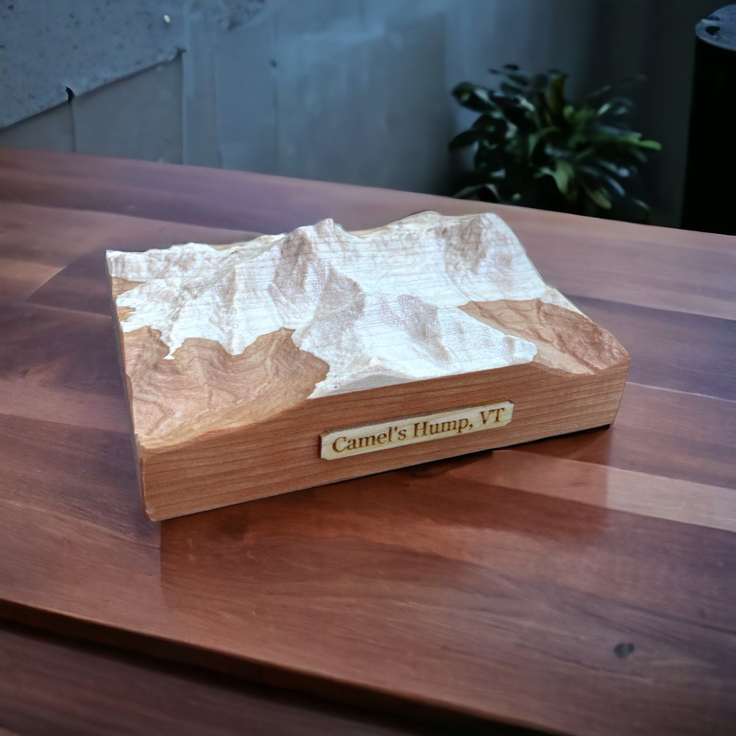 Camels Hump Vermont 3D Map | TreelineTerrains | Relief Map | Green Mountains Vermont | 3D Topographic Wood Map | Unique Gift