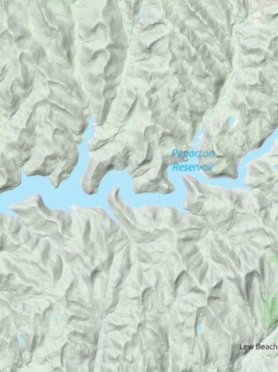 Custom 3d wooden map of Delaware County,New York,United States