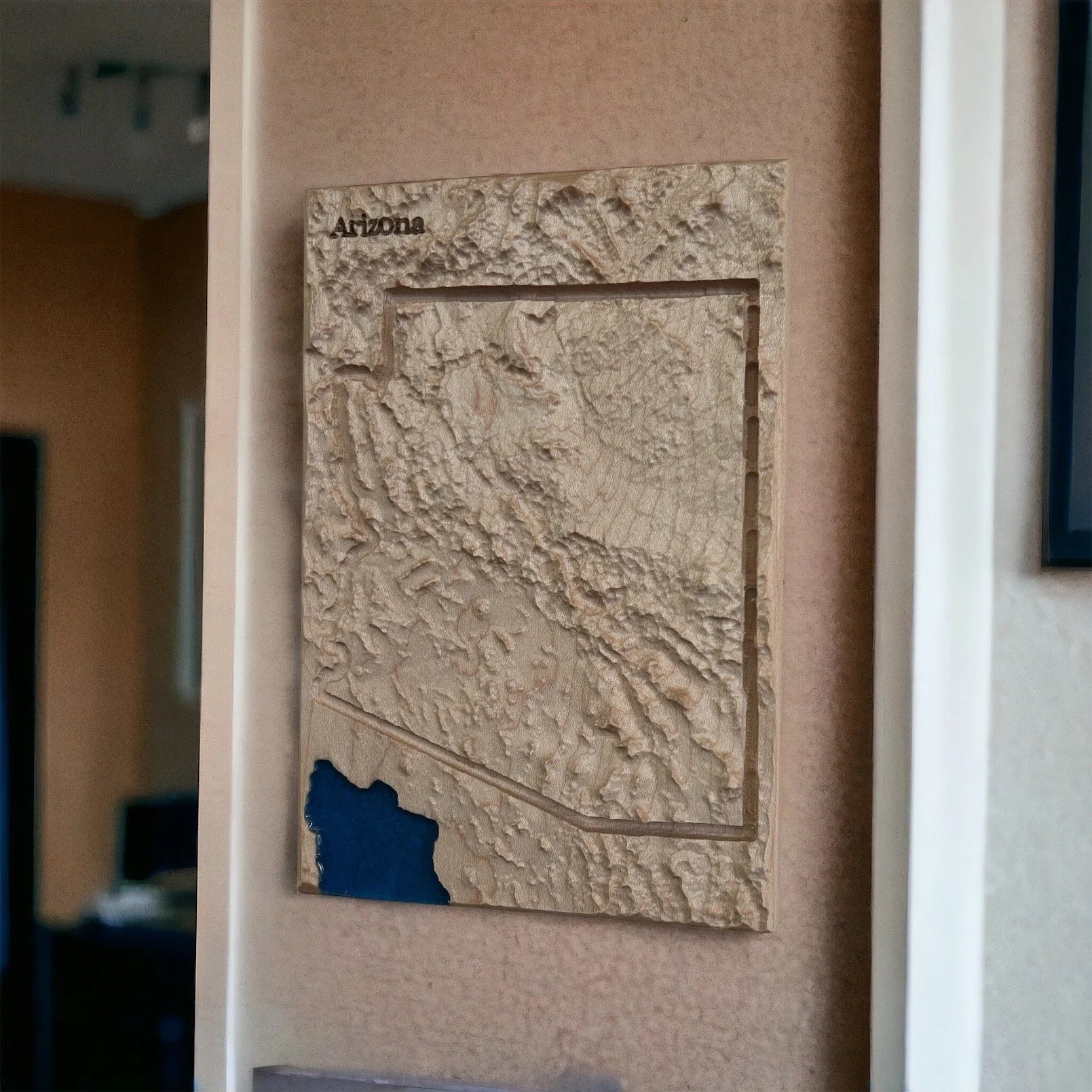 3D map of Arizona on a textured wall
