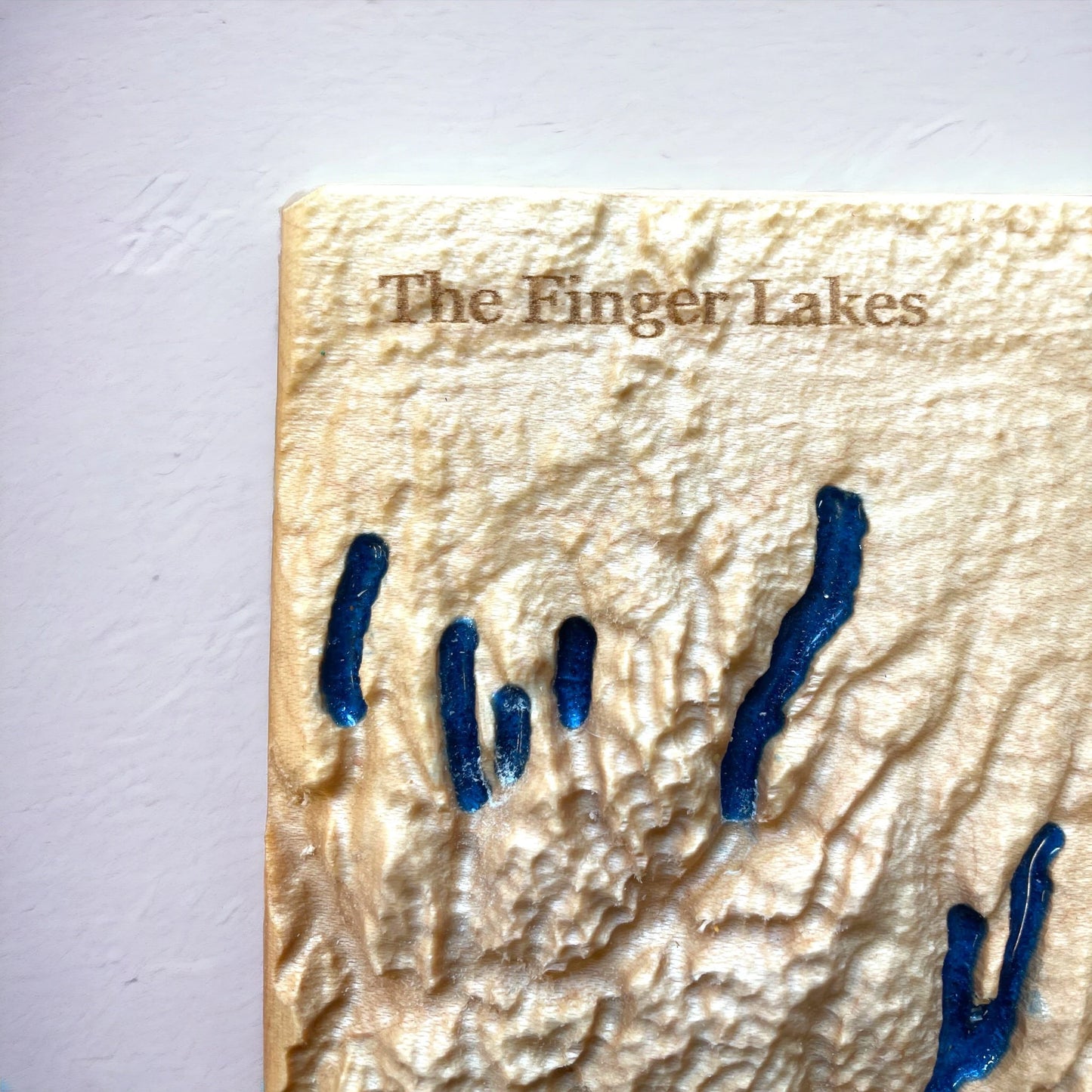 Finger Lakes 3D Relief Map | Finger Lakes Wood Epoxy Art | Finger Lakes New York | Travel Gift | Gift for Him | Finger Lakes Gift