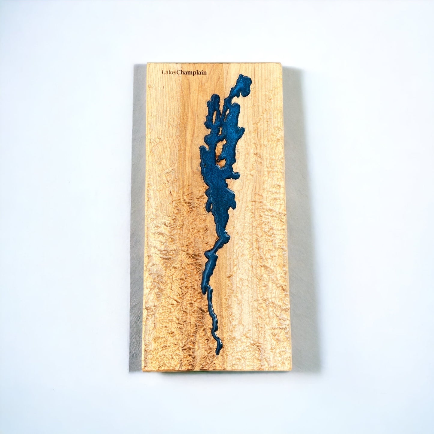 a topographic 3d map of lake champlain and the surrounding mountains