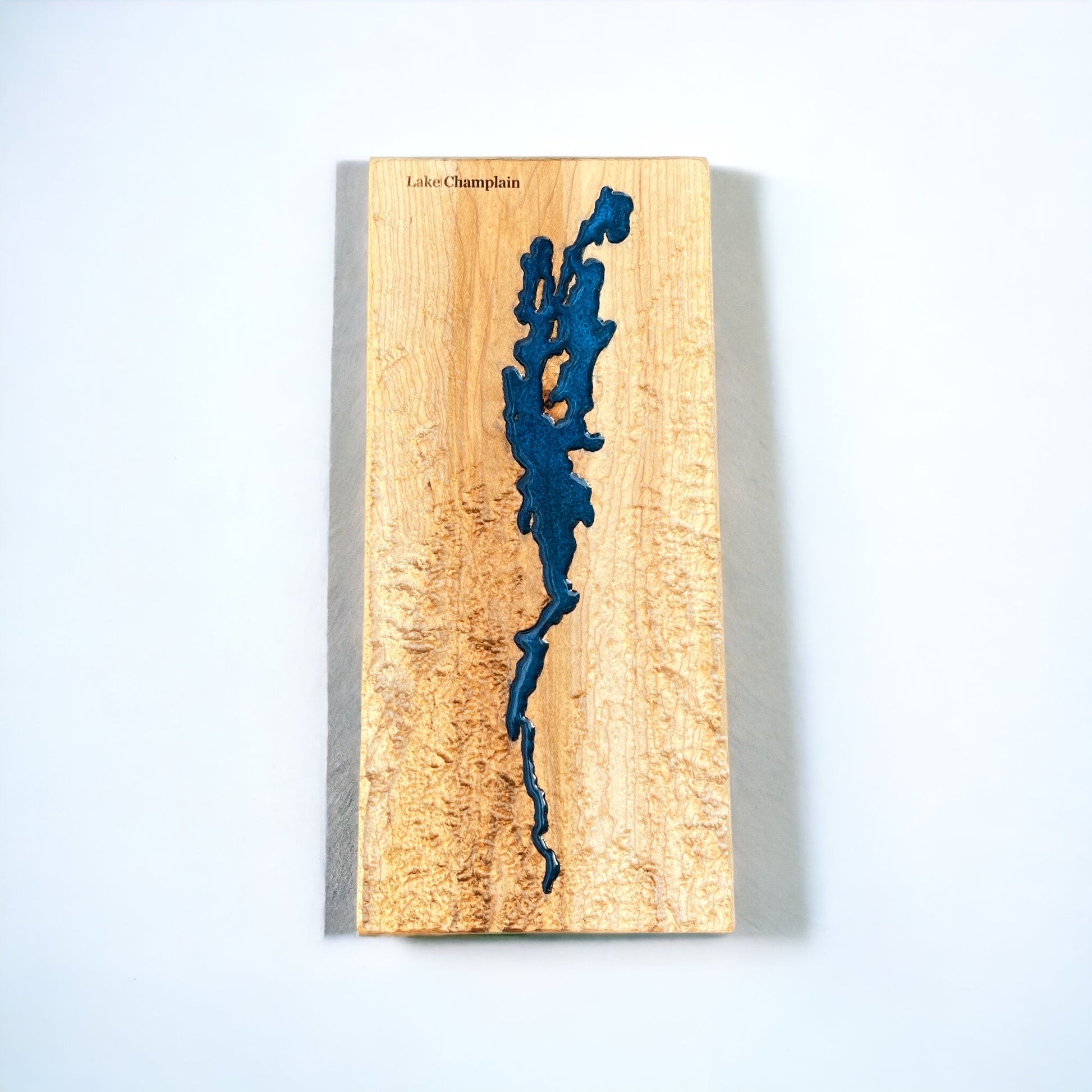 a topographic 3d map of lake champlain and the surrounding mountains