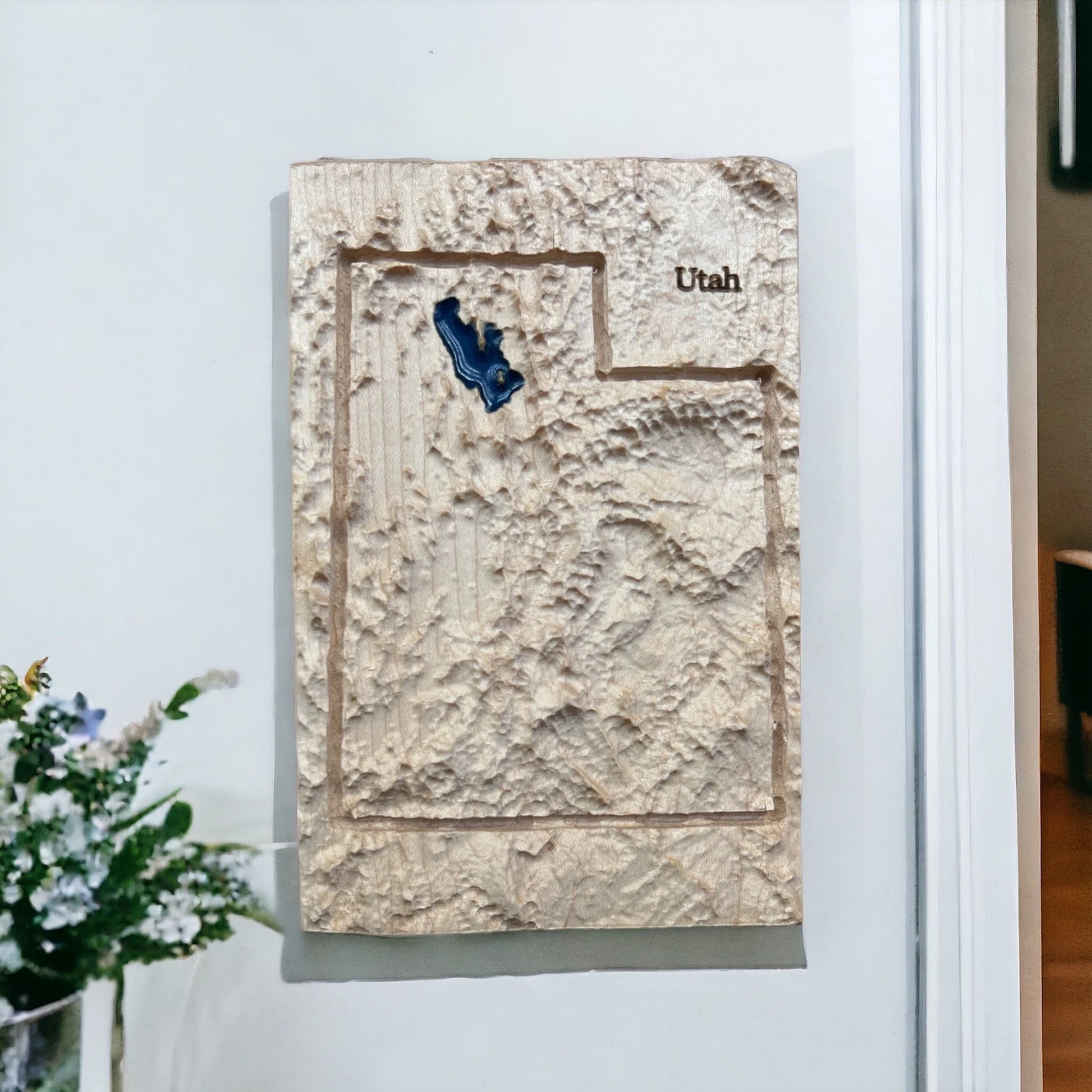 3D map of Utah on a white wall with a decorative plant.