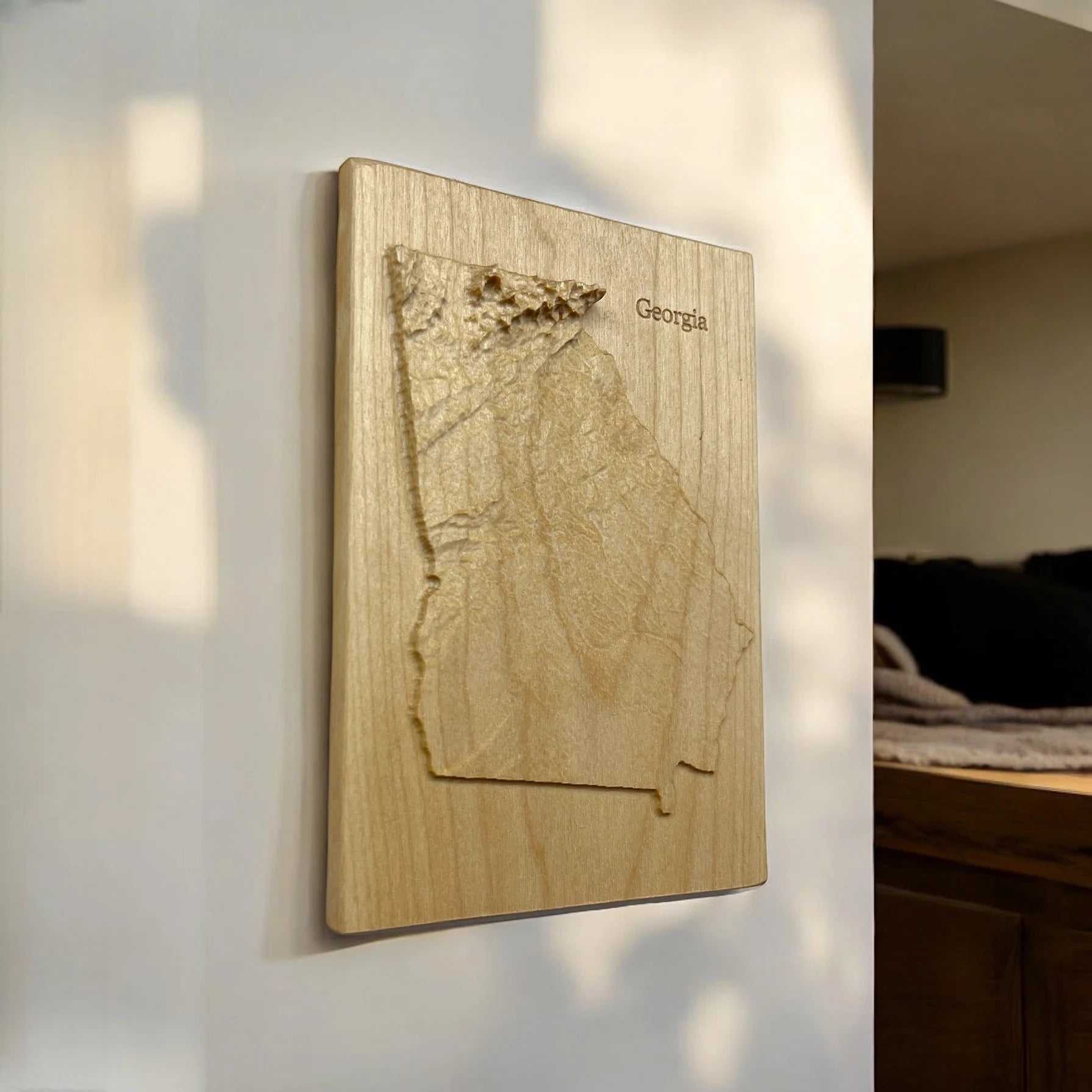 Wooden relief map of Georgia on a wall