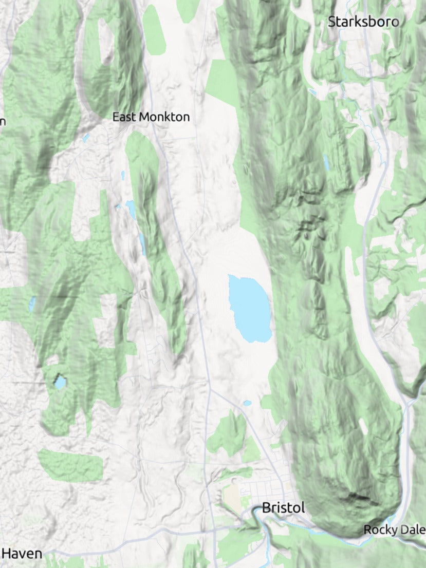Custom 3d wooden map of Addison County,Vermont,United States